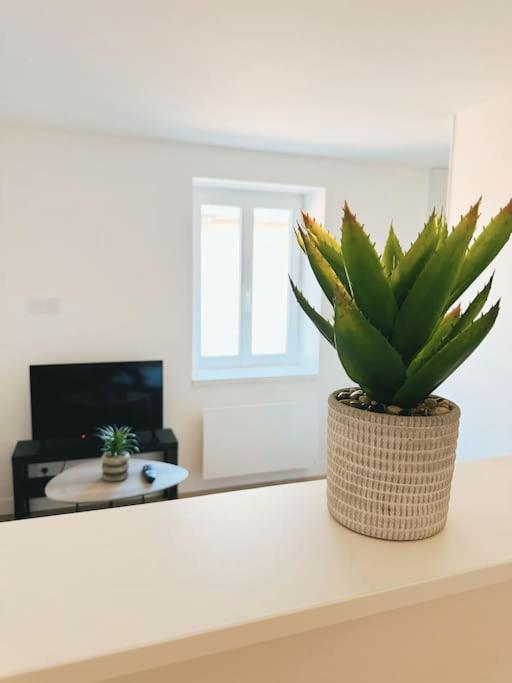 Le - Cocon Scandinave - Parking Gratuit *
